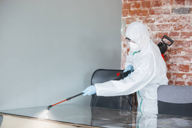 Why You Should Choose Our Mold Remediation Services in Red Corral, CA